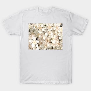 Spring Fling T-Shirt